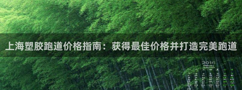 尊龙网站下分慢：上海塑胶跑道价格指南：获得最佳价格并打造完美跑道