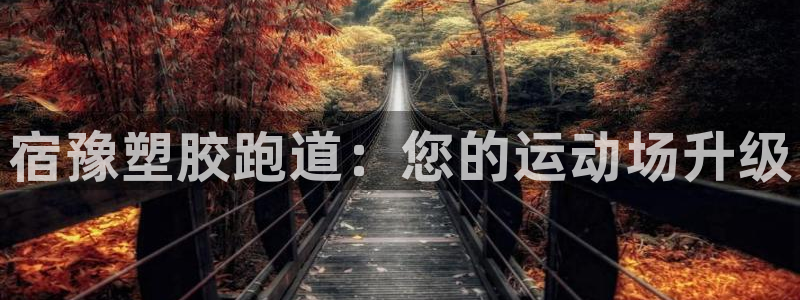 尊龙凯时输钱的原因:宿豫塑胶跑道:您的运动场升级